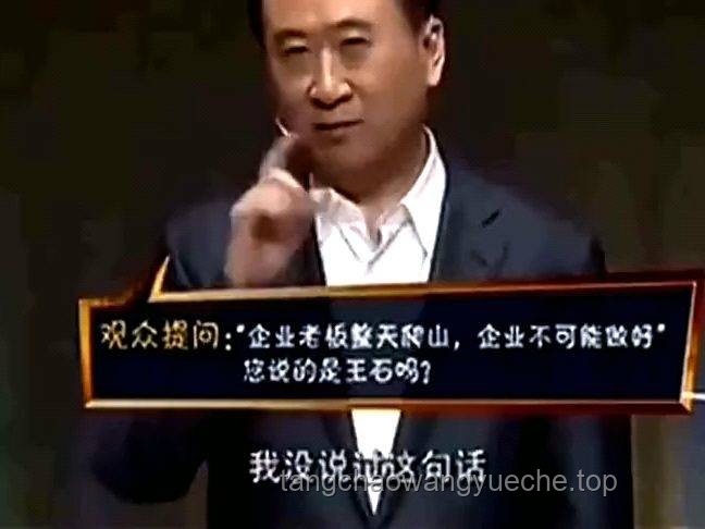 王健林“断腕式”自救的长远策略与路径探索
